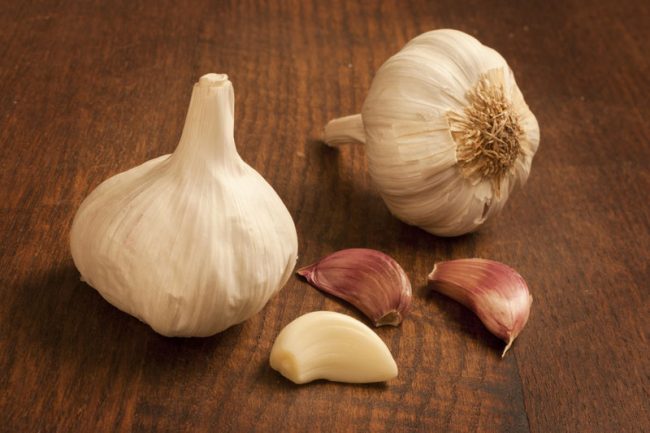 panasonic-garlic 