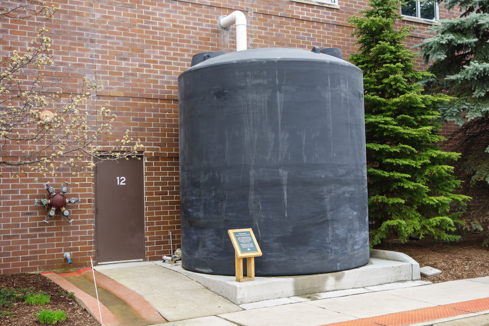 rain water barrel
