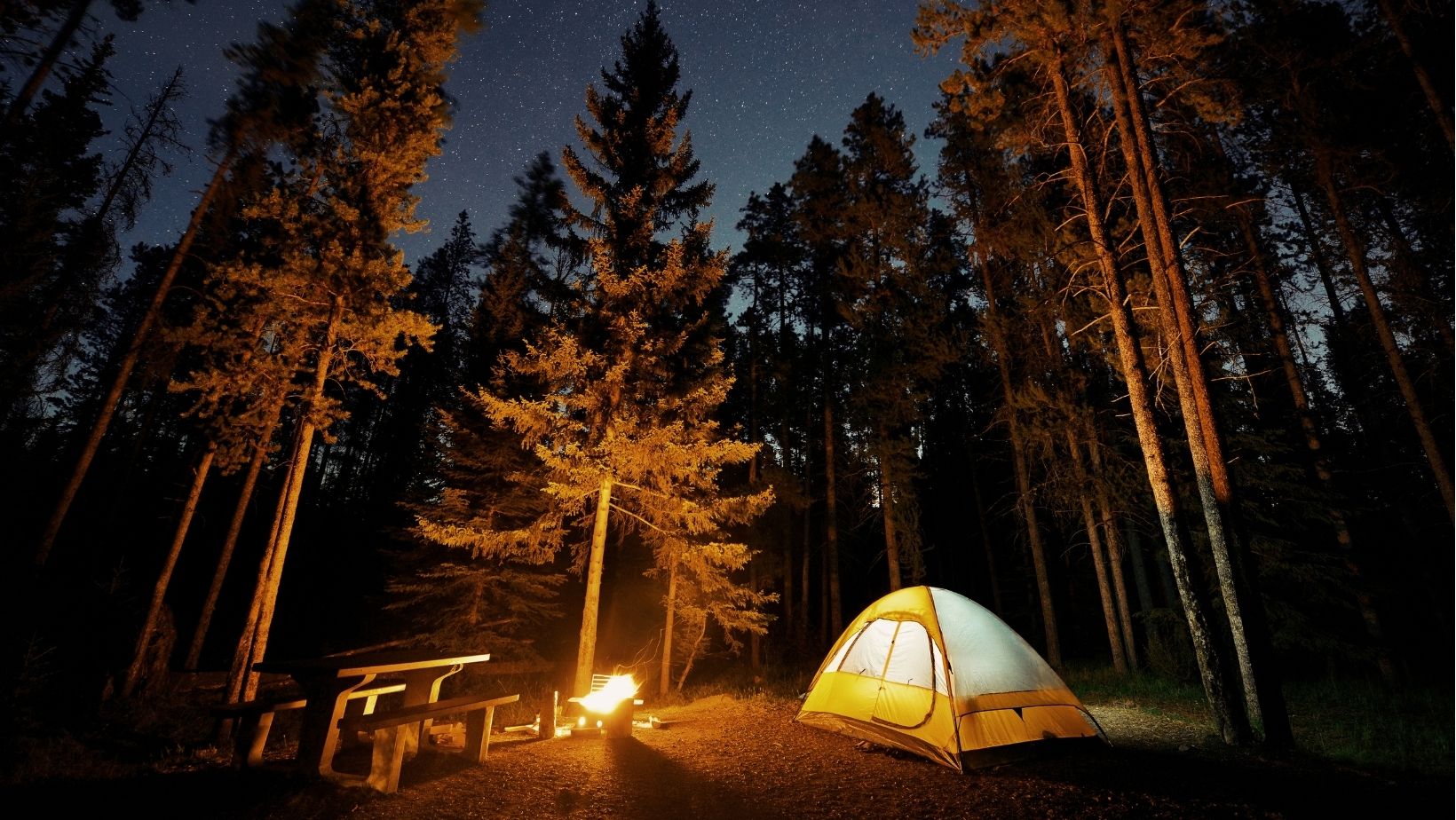 tent in the woods at night with a bonfire