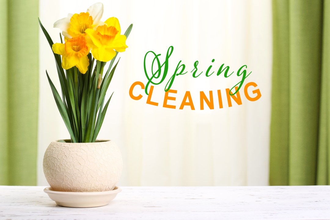 Spring cleaning image with flower.