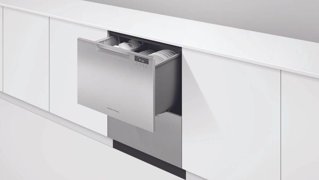 A double fisher & Paykel dishdrawer, with the top drawer sliding out